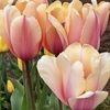 meike_b